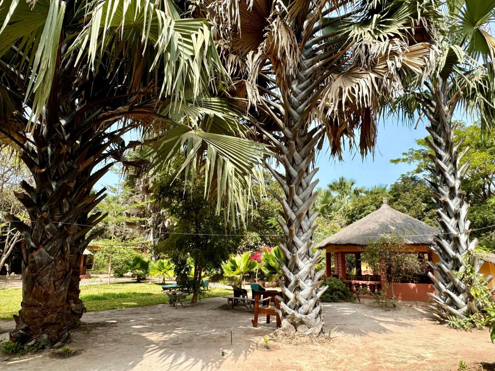 Little'S Nature Retreat Kartong 외부 사진